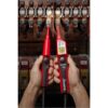 Benning Duspol Analog 2-polige spanningstester