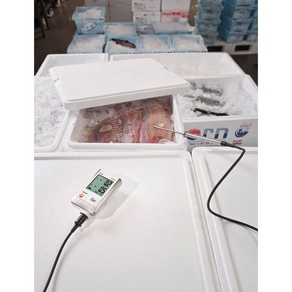 Testo 175 T2 Temperatuurlogger