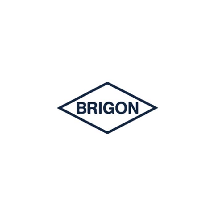 Brigon